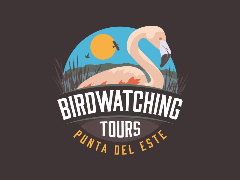 Birdwatching Tours Punta del Este